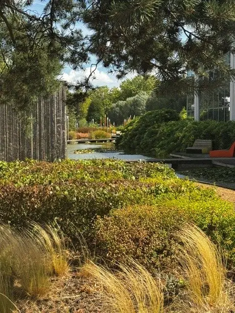 Jardin et plan d'eau du Parc d'Affaires Paris Nord 2 à Villepinte