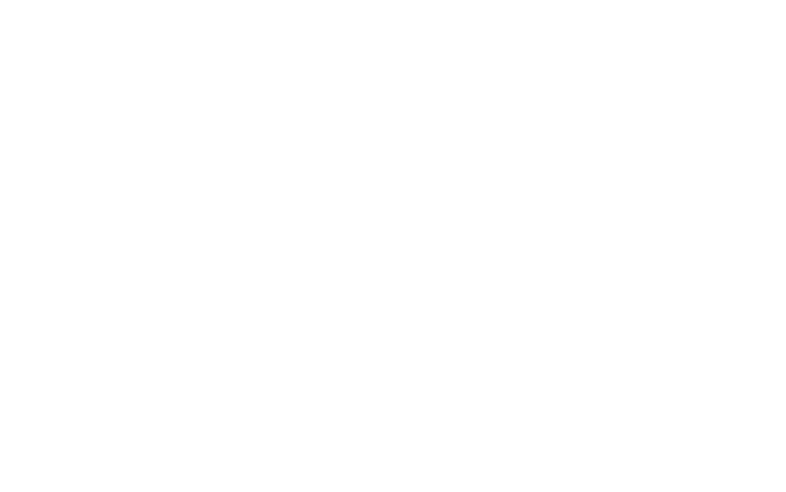 Les Petits Lionceaux