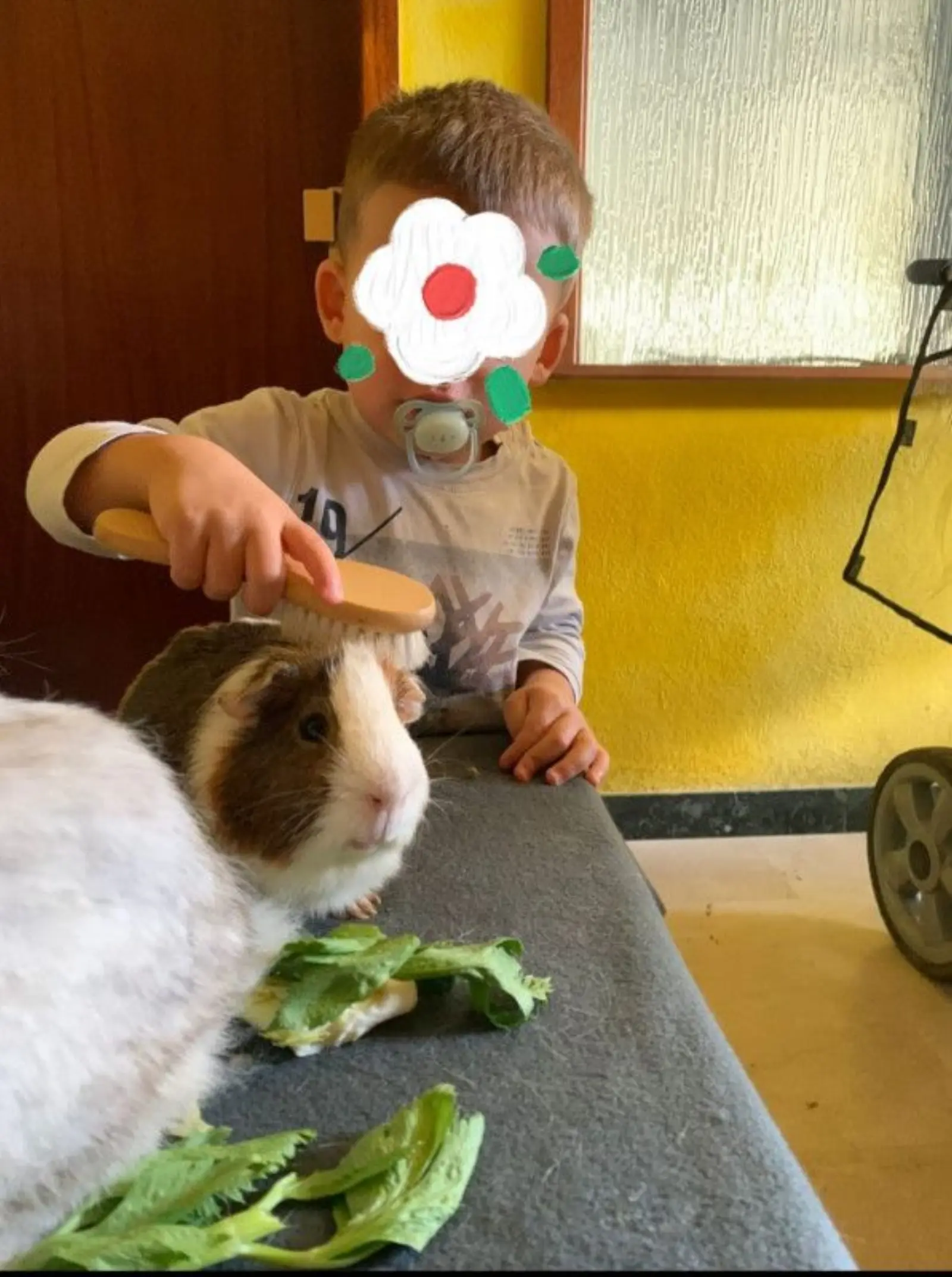 Un lieu de vie et d'éveil, entre activités sensorielles et contact avec les animaux