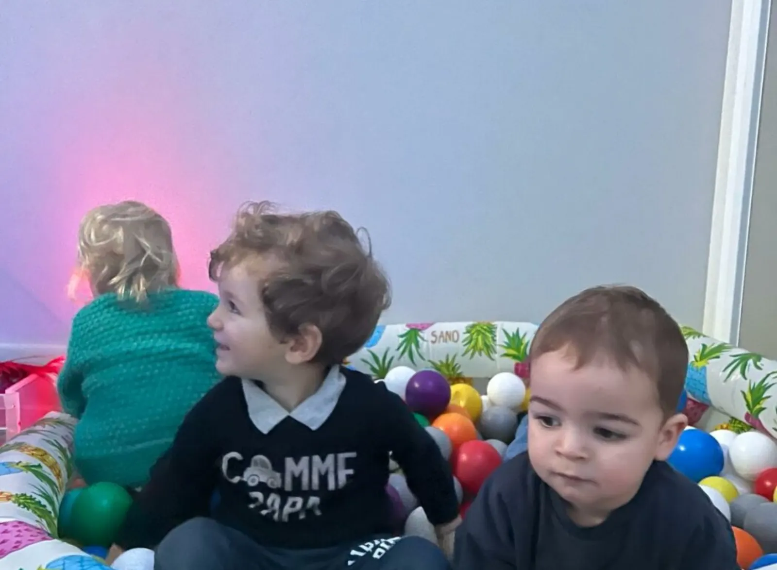 Bac à balles de la micro-crèche 1.2.3...Dino