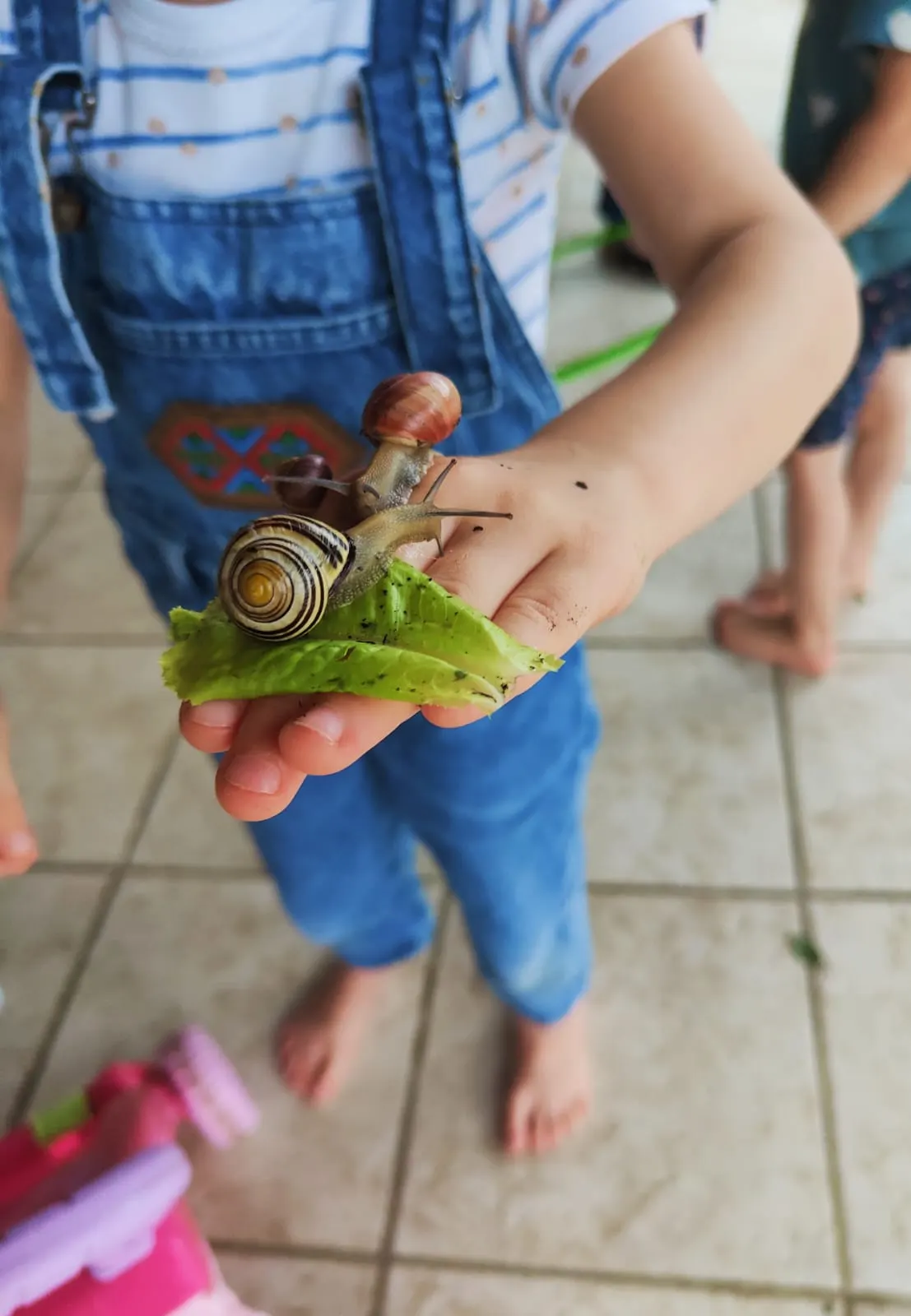 Émerveillement au jardin à la micro-crèche Plantine de Saint-André-de-Seignanx