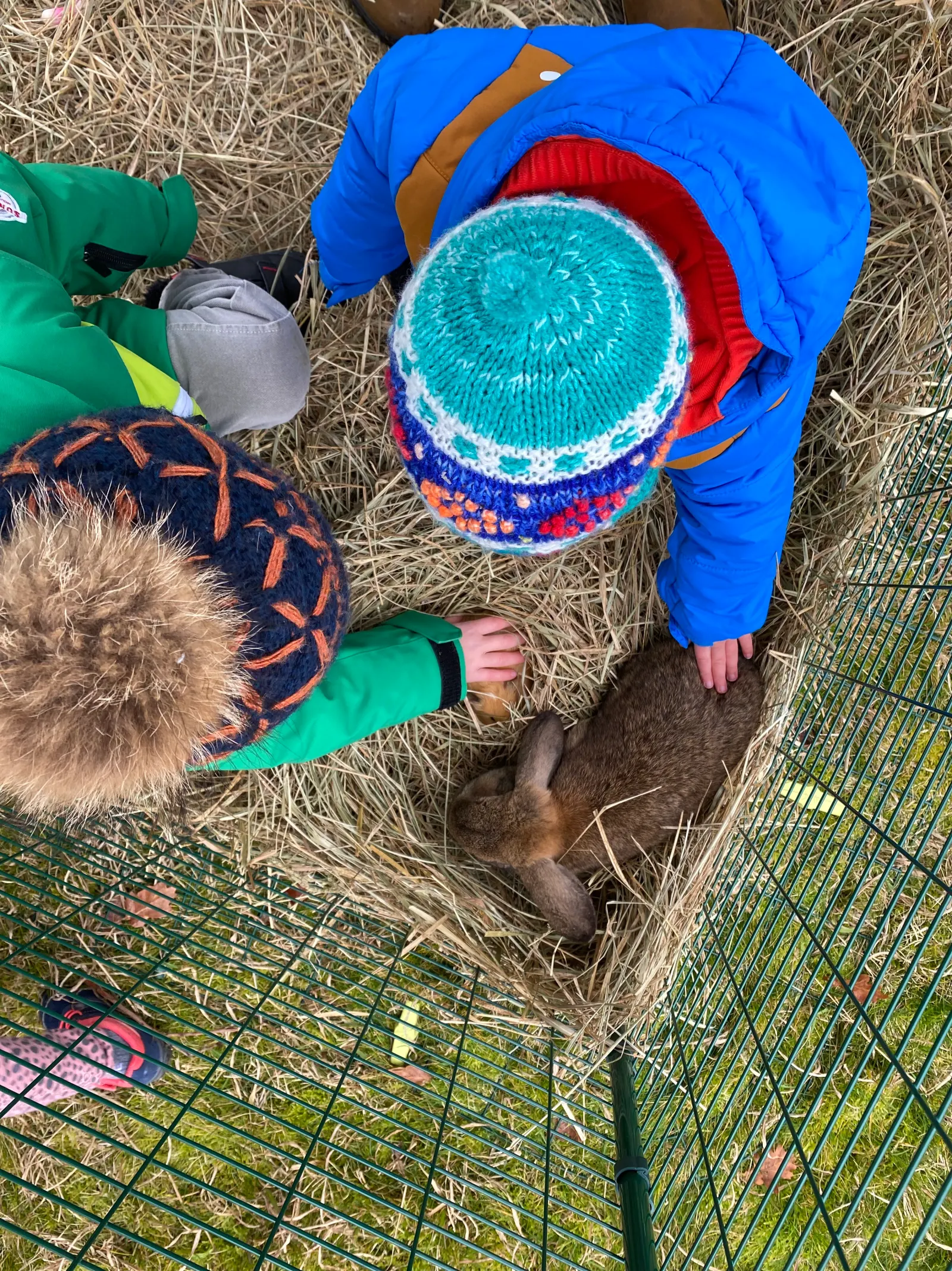 Médiation animale à la micro-crèche Plantine de Saint-André-de-Seignanx
