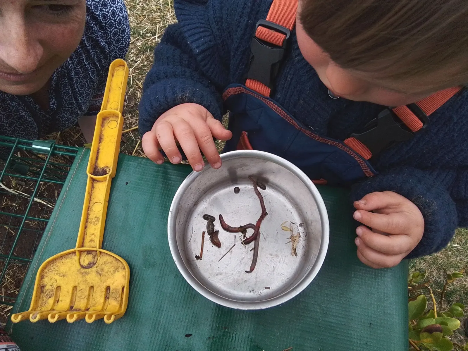 Exploration de la nature et découverte des petites bêtes à la micro-crèche Plantine de Saint-Geours-de-Maremne