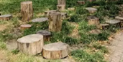 La nature au cœur de l'éveil de votre enfant