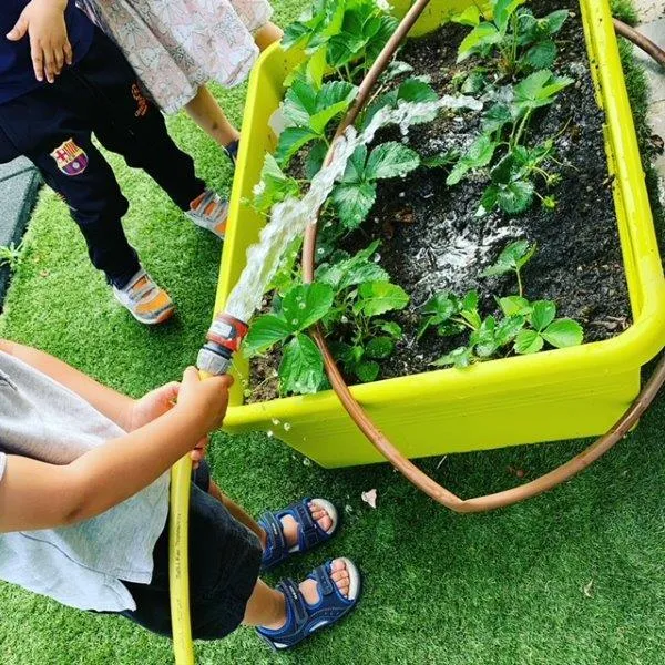 Arrosage du potager à la crèche Babilou Toulouse Bayonne