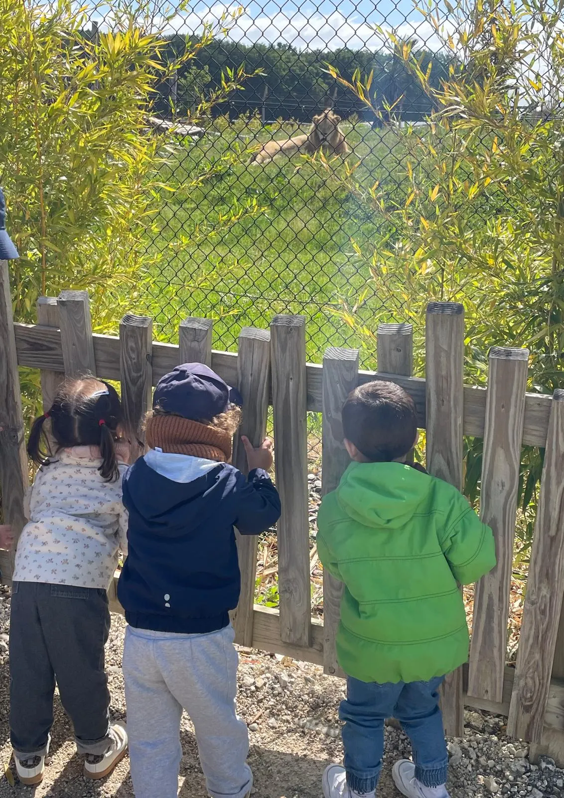 Sortie découverte des animaux près de Chartres avec les enfants de la micro-crèche