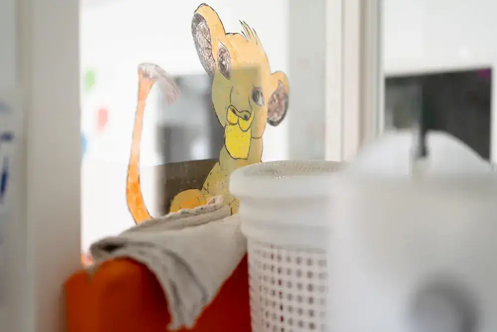 Bienvenue aux Lionceaux, micro-crèche à Lyon 7
