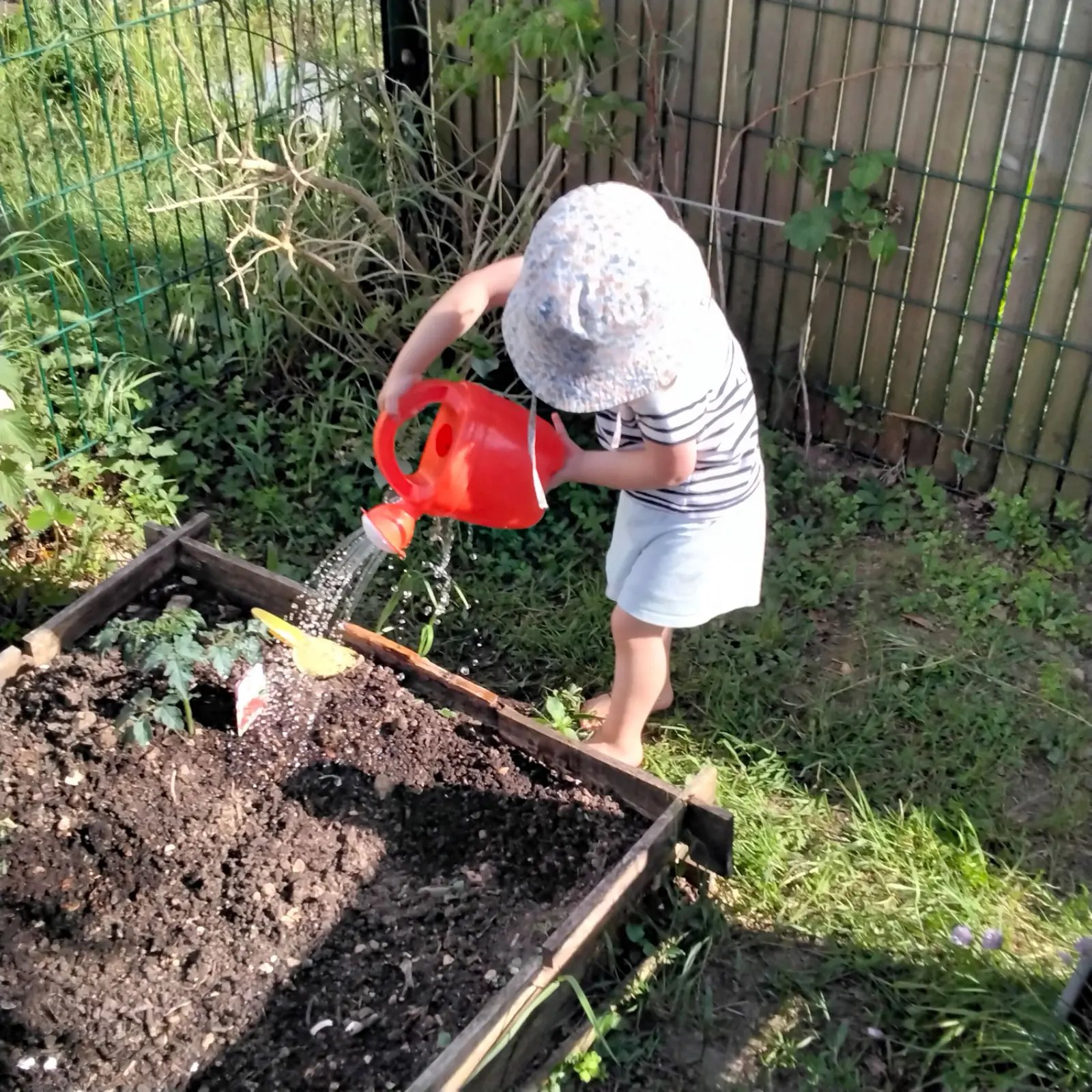 Un enfant arrose le potager à la micro-crèche de Saint-Mars-du-Désert