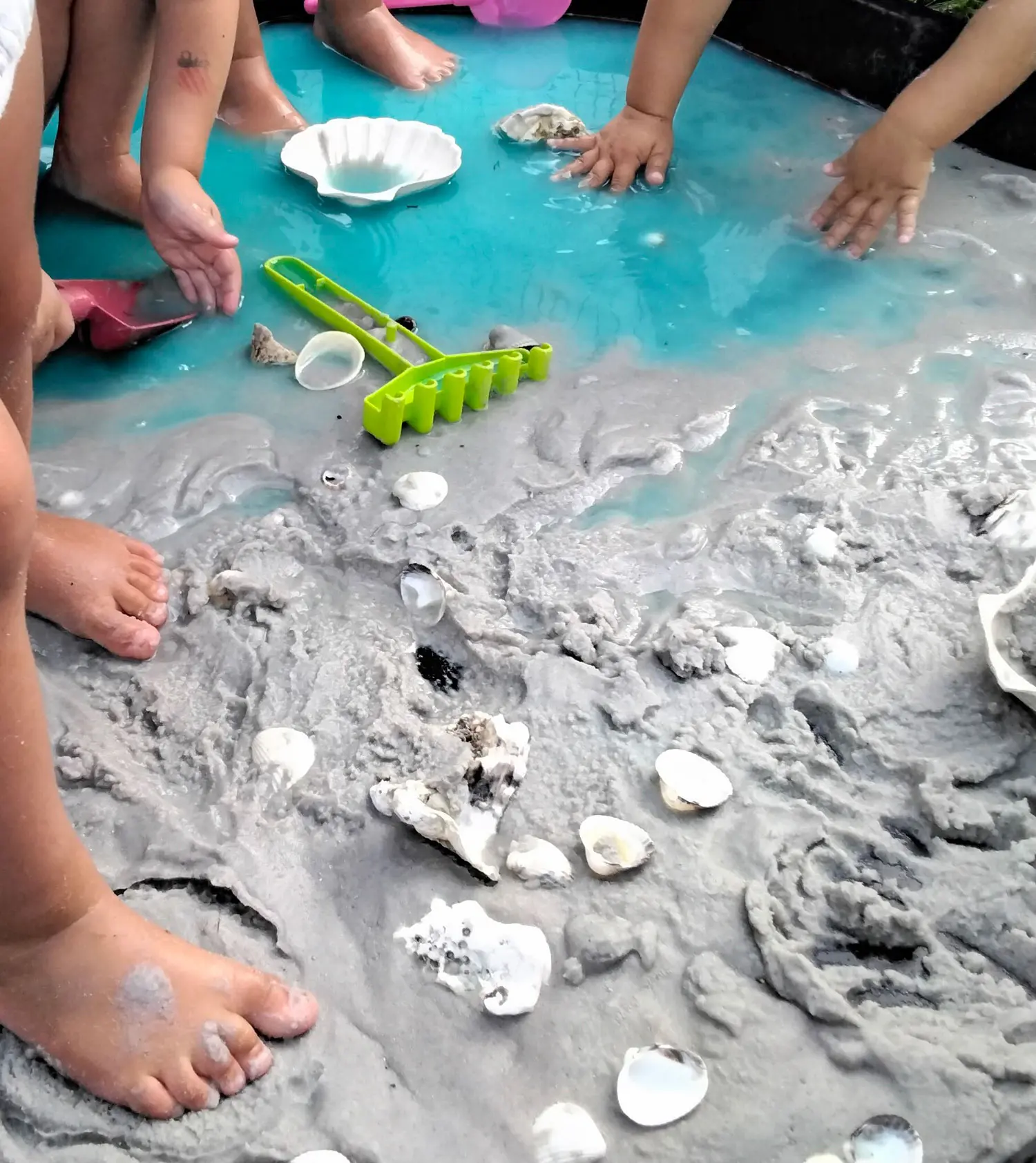 Jeu sensoriel avec de l'eau et des coquillages à la micro-crèche de Saint-Mars-du-Désert