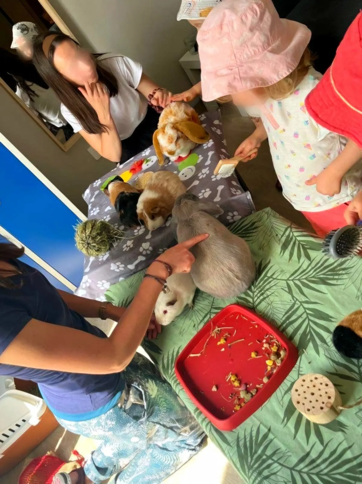 Médiation animale avec les lapins et cochons d'Inde à la micro-crèche de Pont-à-Mousson