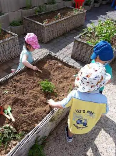 Activité potager avec les enfants à Graines de Malice