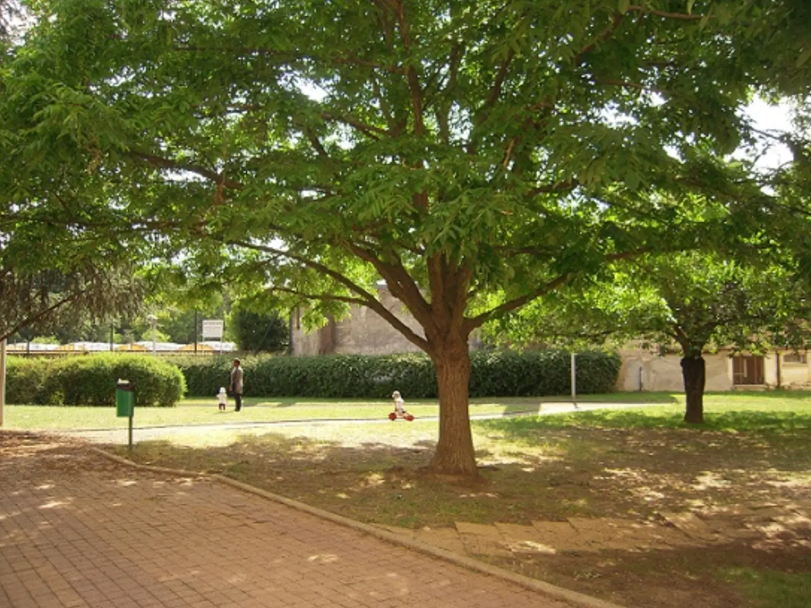 Sortie au parc avec la crèche Les P'tits Choux à Créteil