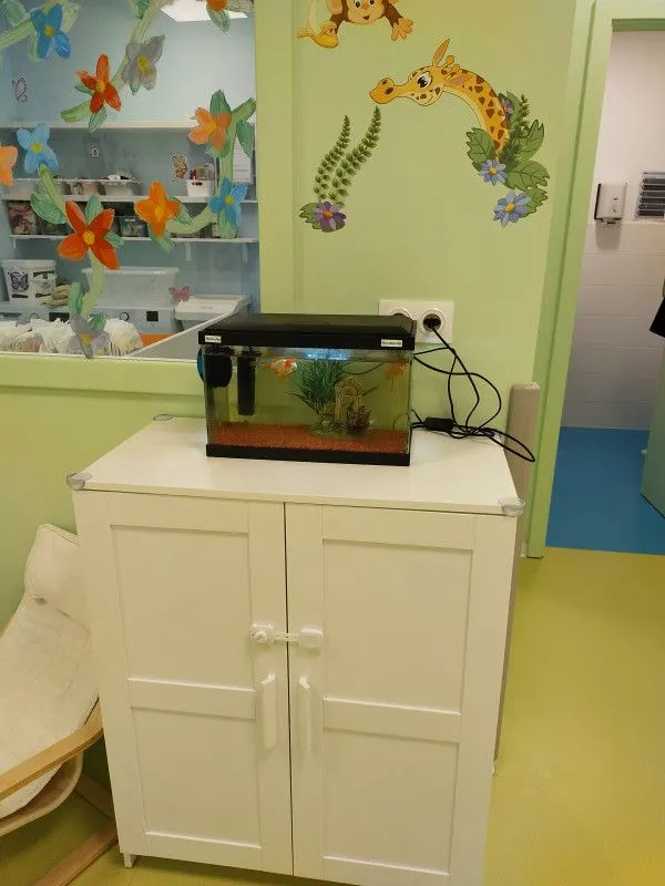 Coin de vie avec aquarium à la micro-crèche Les Petites Coccinelles des Chérubins