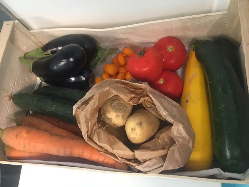 Légumes frais préparés pour les repas à la micro-crèche Les Ratatouilles des Chérubins