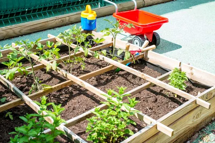 Potager extérieur de la crèche Nîmes Costières