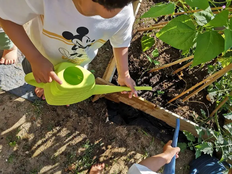 Les Chérubins de Caissargues, une <strong>micro-crèche à taille humaine</strong>