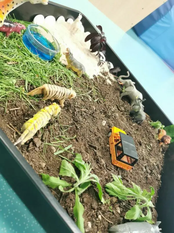 Bac sensoriel sur le thème du safari à la micro-crèche Apetipa à Talence