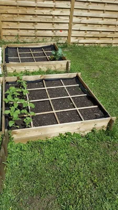 Potager dans le jardin de la micro-crèche Le Jardin des P'tits Lutins à Chartres