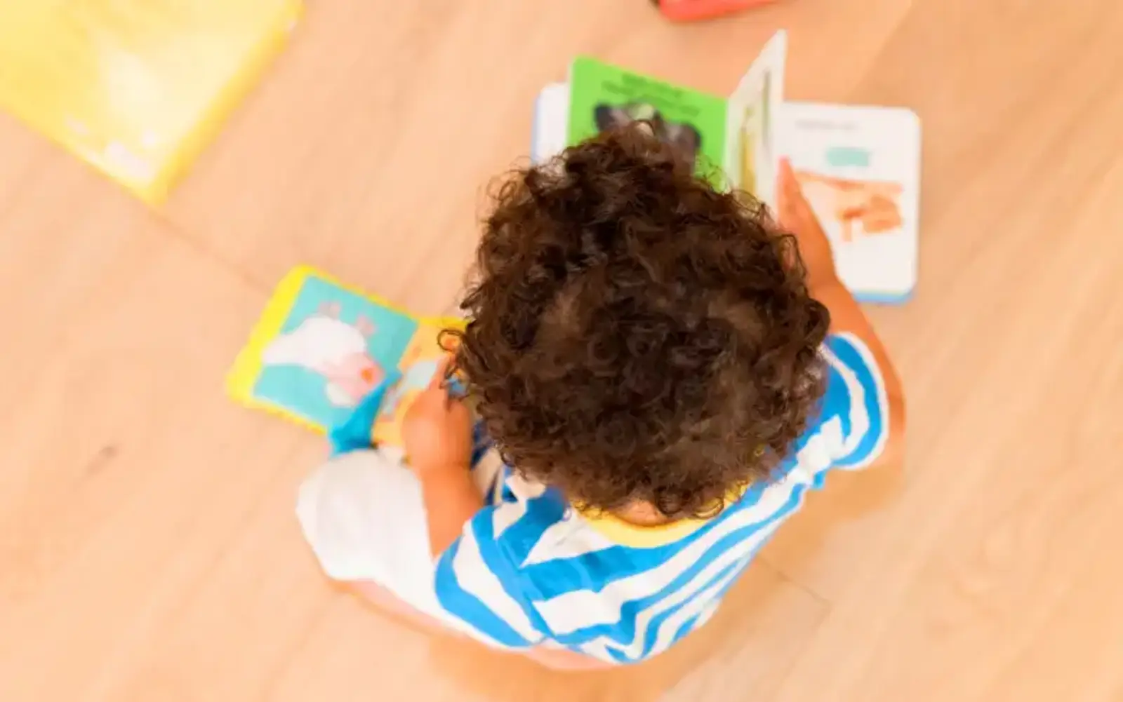 Moment de lecture et de découverte à la micro-crèche Romulus et Rémus